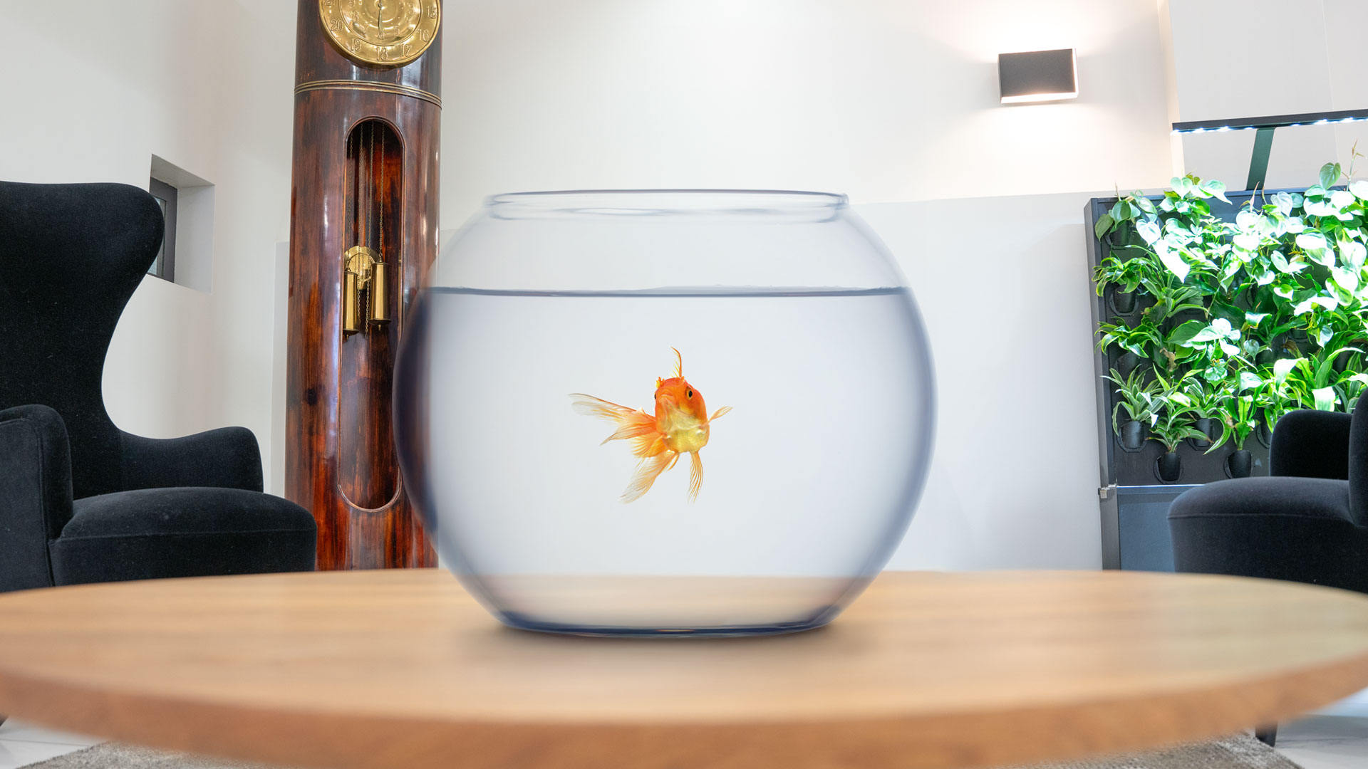 Onko kuluttaja kultakala kolmen sekunnin muistilla?